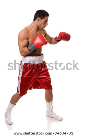 Boxer