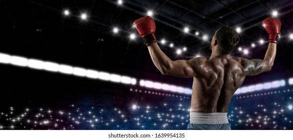 Boxer celebrating win on dark background. Sports banner. Horizontal copy space background - Powered by Shutterstock