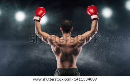 Boxer champion enjoying his victory on lights and standing back to the camera, black studio background