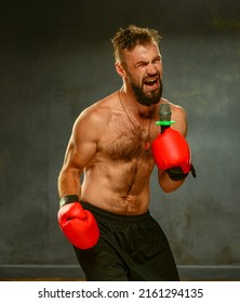 boxer emotionally screams into the microphone. boxer with a beautiful torso and beard in red gloves on a gray background in the studio