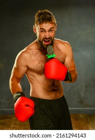boxer emotionally screams into the microphone. boxer with a beautiful torso and beard in red gloves on a gray background in the studio