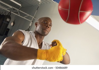 Boxer Hitting Speed Bag In Gym