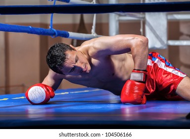 Boxer Lying Knocked Out In A Boxing Ring