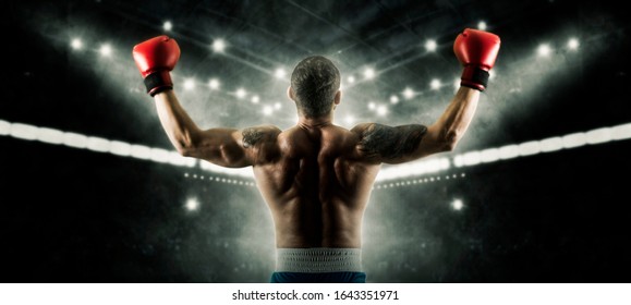Boxer in red gloves celebrating win on dark background. Sports banner. Horizontal copy space background