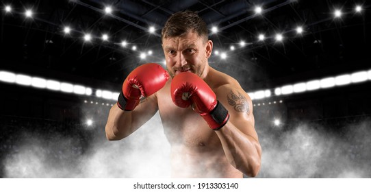 Boxer in red gloves. Sports banner. Horizontal copy space background