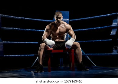 boxer sitting and recreation on boxing ring, black background, horizontal photo - Powered by Shutterstock