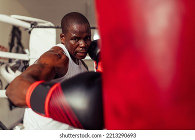 Boxer Striking A Red Punching Bag With One Gloved Fist In A Gym. Sweaty Young Man Having A Training Session In A Boxing Gym.