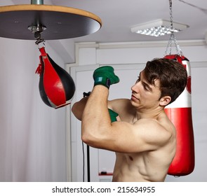 Boxer Training With The Speed Punching Bag In The Gym