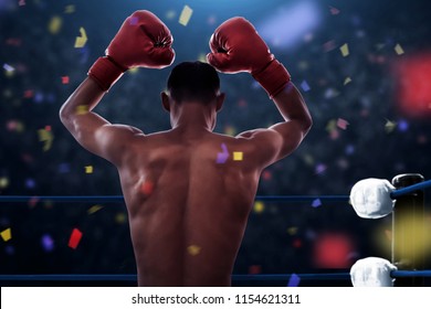 Boxer winning the match