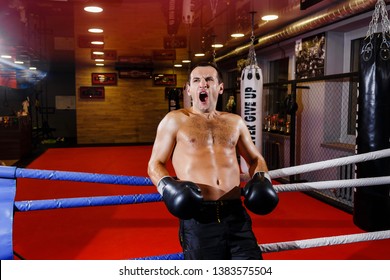 boxer yawns in training. boxer yawns before the fight - Powered by Shutterstock