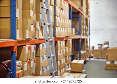 Boxes, ladder and shelves with inventory at warehouse for distribution, supply chain or logistics. Empty room or interior of packages, cargo or shipment in factory or storage for export or import