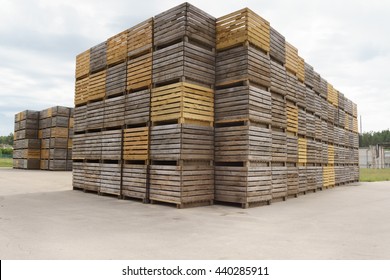 Boxes For Potatoes Storage In Farm