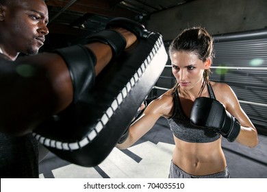 4,549 Boxing pads Images, Stock Photos & Vectors | Shutterstock