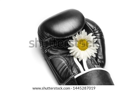 boxing glove with a large chamomile flower closeup