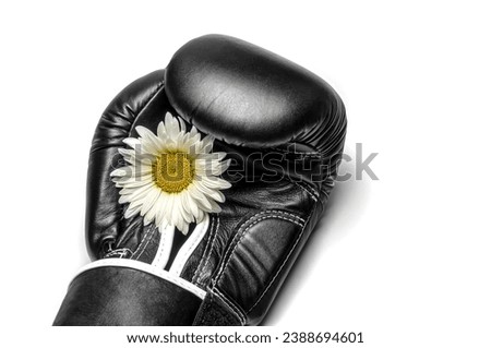 boxing glove with a large chamomile flower closeup