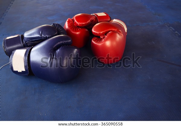 martial arts pads and gloves