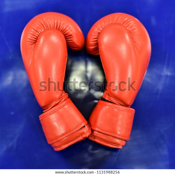 yin yang boxing gloves