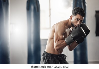 Boxing gym, man portrait and boxer pose technique for protection in mma fight practice studio. Exercise, fitness and athlete focus training for kickboxing safety and wellness preparation. - Powered by Shutterstock