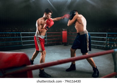 Boxing Sparring Fight Stock Photo (Edit Now) 796116430