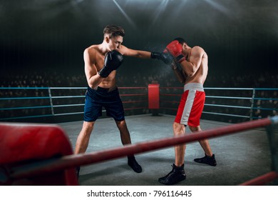 Boxing Sparring Fight Stock Photo 796116445 | Shutterstock