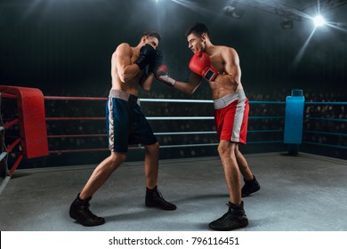 Boxing Sparring Fight