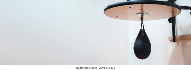 Boxing speed bag with a fist on white background
 - Powered by Shutterstock