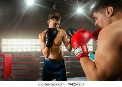 Attractive Asian Female Boxer Boxing Arena Stock Photo 515796253 ...