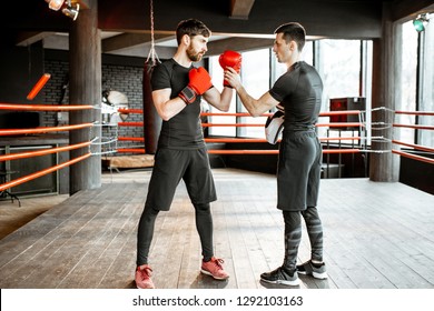 Boxing Trainer Showing Man How Fight Stock Photo 1292103163 | Shutterstock