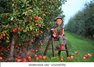Boy, 4 years old, in an apple orchard. Natural background with red apples. Autumn child's play in fruit garden. Carefree childhood. Stylish retro photos.