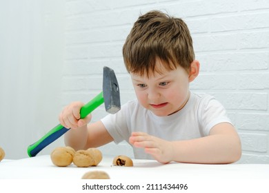 a boy of 4-5 years old sits at a table, breaks walnuts with a hammer. Funny facial expression, emotions and hard work. Horizontal photo. - Powered by Shutterstock