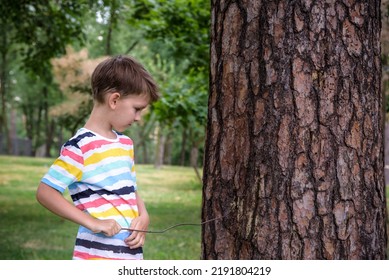 Boy 7 years old white Caucasian looks attentively at the tree while standing in the forest near a beech tree in early summer or spring.. - Powered by Shutterstock