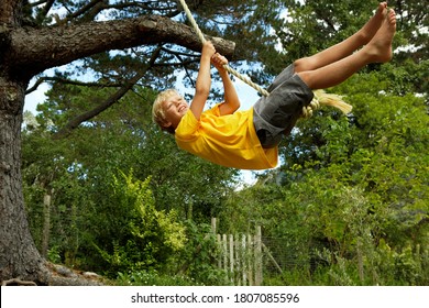 Boy (7-9) Swinging On Rope Swing Hanging From Tree In Garden, Smiling, Side View