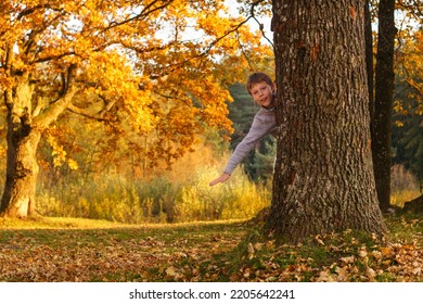 Boy 9-10 years old peeks out from behind large thick oak trunk in park in rays of setting sun and smiles. Child in gray sweater plays hide and seek in autumn forest with bright yellow leaves - Powered by Shutterstock