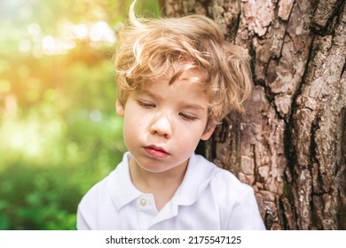 A Boy Along In Summer Park. Child In Green Woods