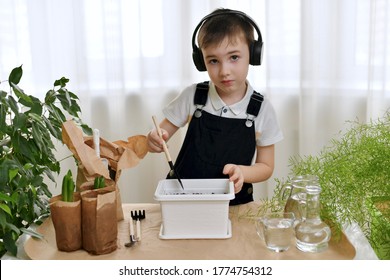 A boy in audio headphones listens to music and does gardening. Planting seedlings of hyacinth flowers. He looks into the camera and prepares to drop a spatula.