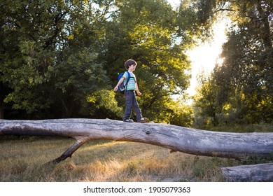 A boy with a backpack walks along the trunk of a fallen tree, a child walks through the forest, a kid is exploring nature, a boy learns to keep his balance.