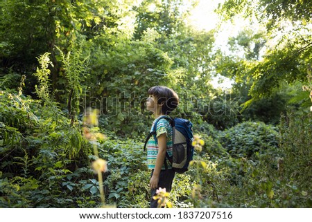Similar – Image, Stock Photo Backpacker walks through the colourful autumn forest in the Hoge Kempen National Park in eastern Belgium. Wilderness in Flanders in November
