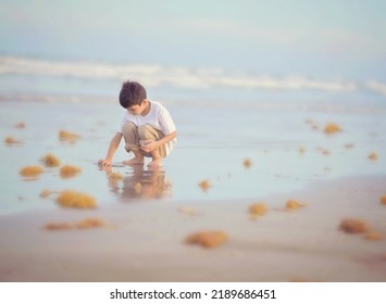 A Boy Barefoot At The Beach Looking For Seashells 