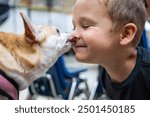 A boy is being licked in the face by a small dog. The dog is wearing a pink harness.