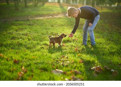 Boy In Blue Sweater Playing With Favourite Puppy In Park. Concept Of Time With Pet.