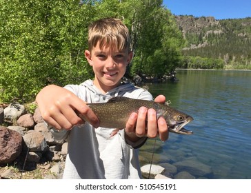 Boy With A Brook Trout Caught Fly Fishing On A Lake In The Wilderness 