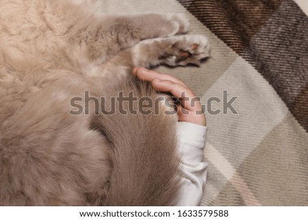 Similar – Newborn baby with pompom hat sleeping on blanket