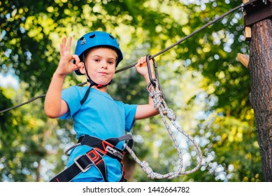 Boy Climbing Activity High Wire Forest Stock Photo 1442664782 ...