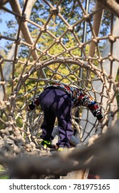 A Boy Climbing Through A Tunnel Of Nets Which Construct By Ropes