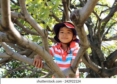 Boy Climbing The Tree
