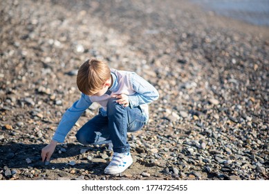 A Boy Collects Seashells On The Beach. Child Playing On The Beach.