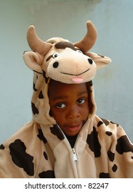 Boy in cow costume