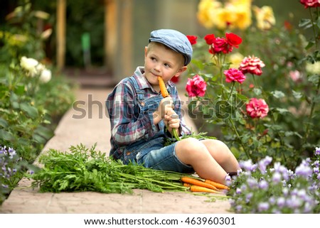 boy in denim overalls, shirt and cap sitting in the garden and eat carrots