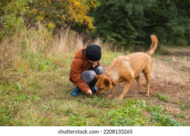 A Boy Digs The Ground With A Big Red Dog