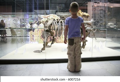 Boy And Dinosaur`s Skeleton In Museum